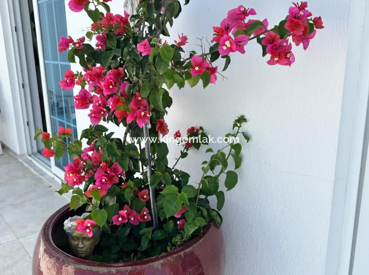 Palace In The Mountains