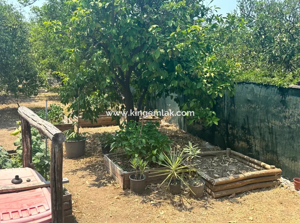 Charming 3-Bedroom Traditional Turkish Home