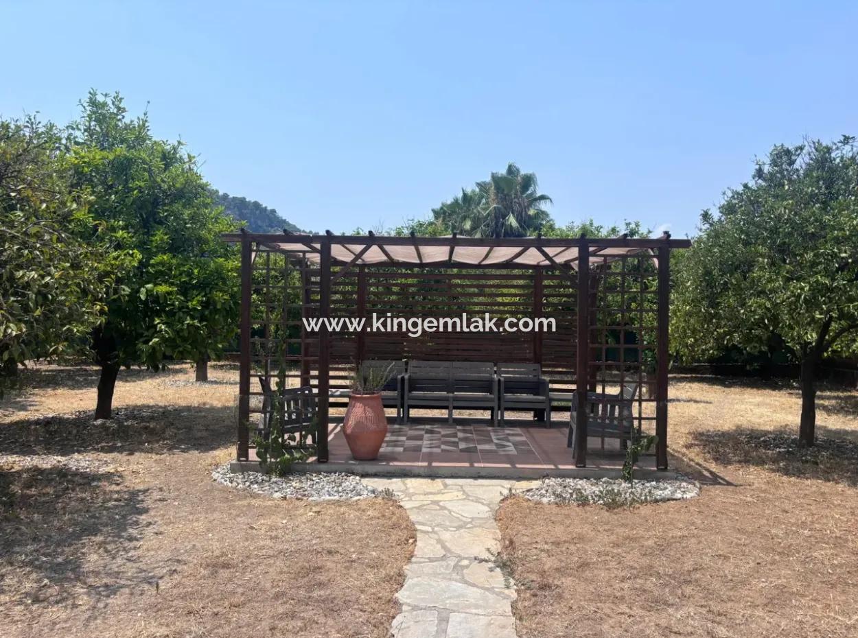 Charming 3-Bedroom Traditional Turkish Home