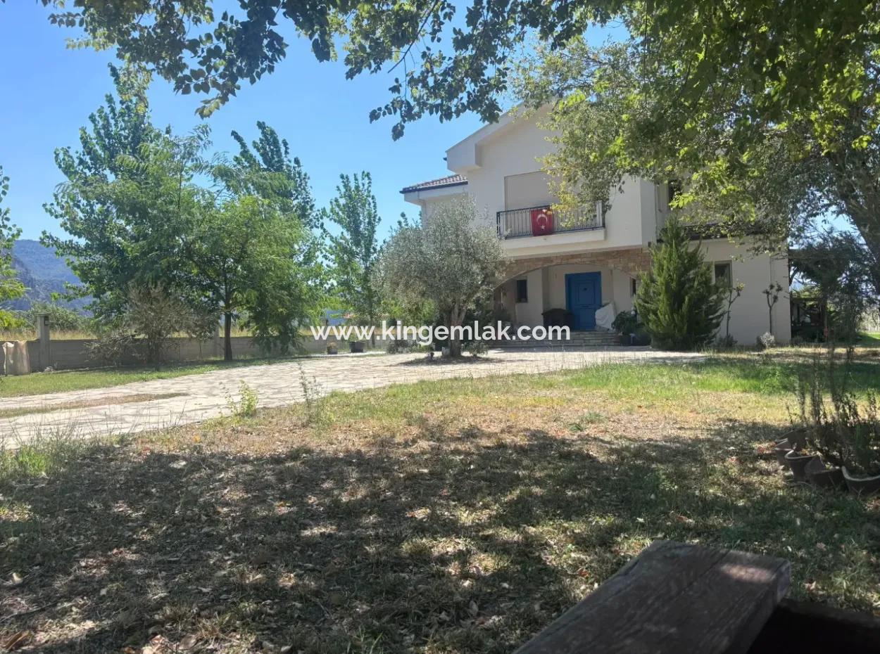 Unique Villa On Large Land