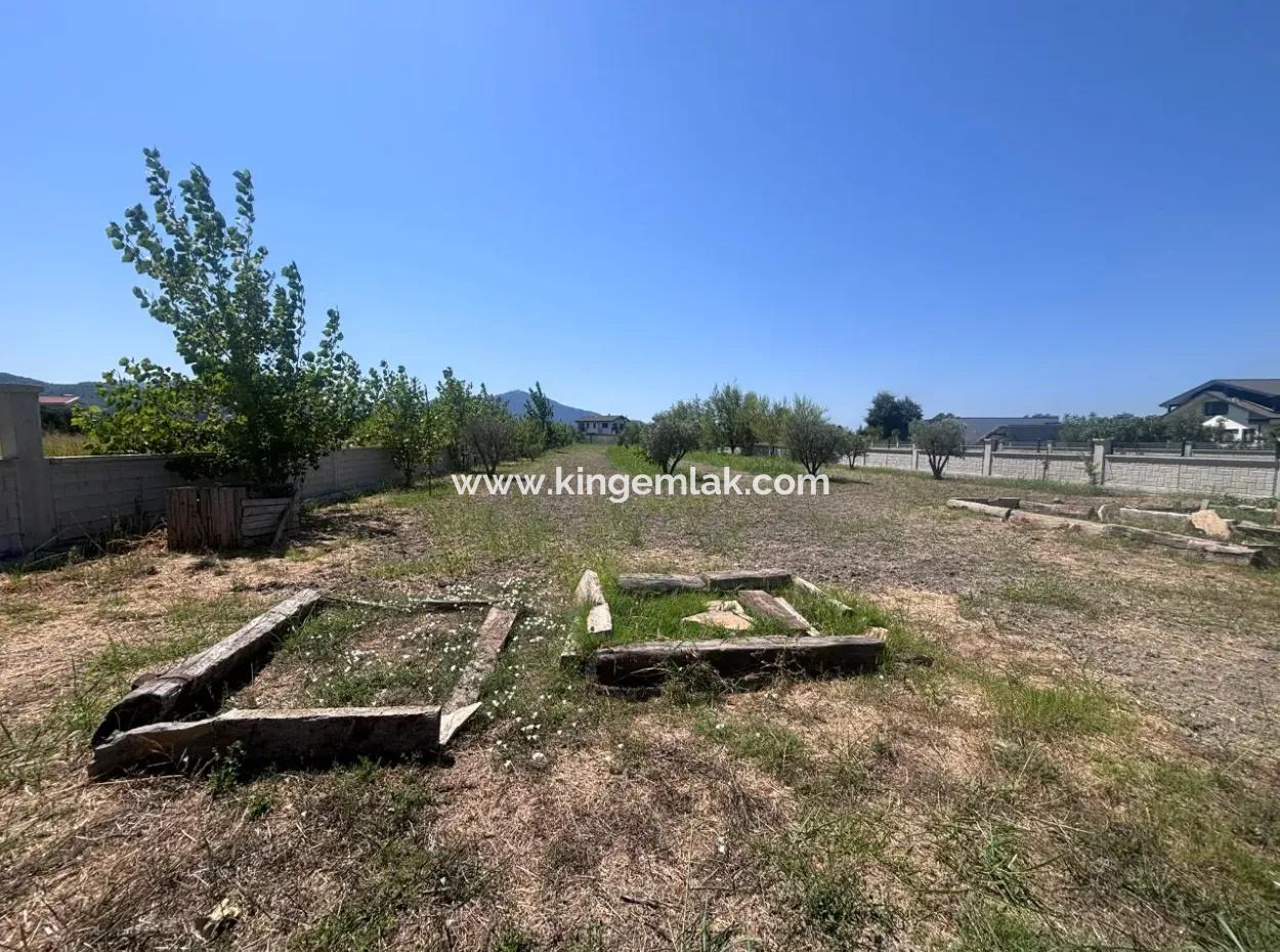 Unique Villa On Large Land