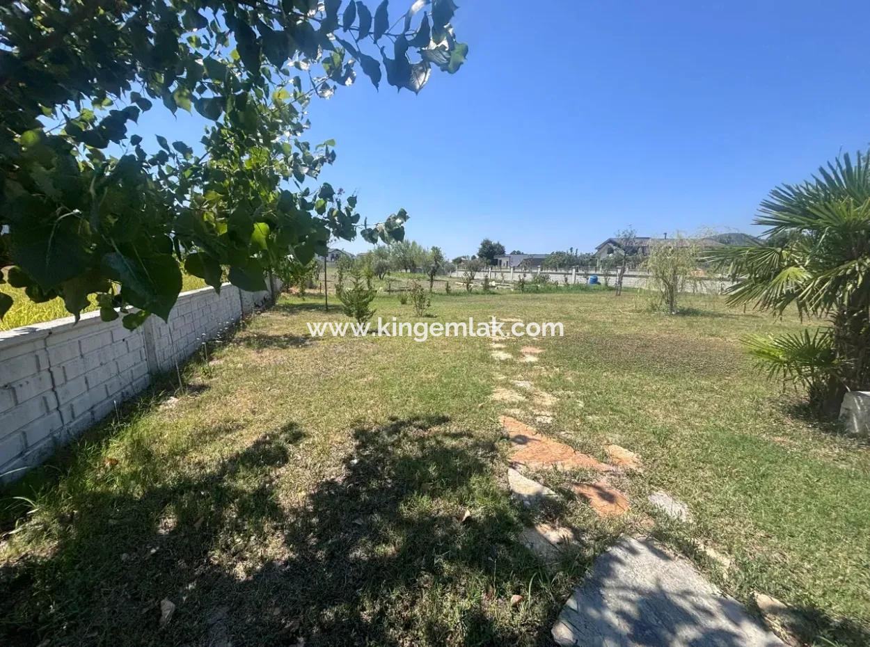 Unique Villa On Large Land