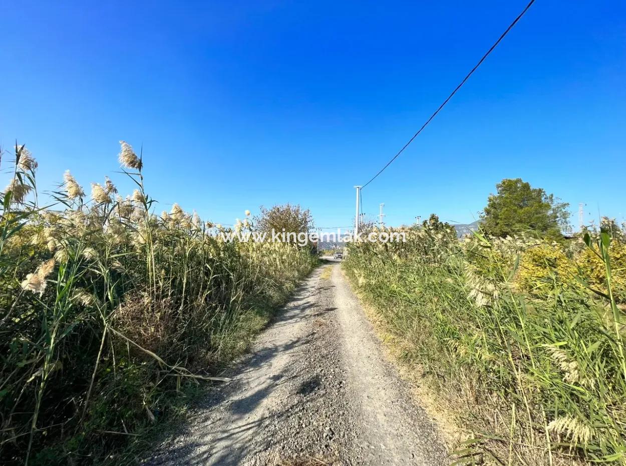 Pomegranate Garden For Sale In Dalyan