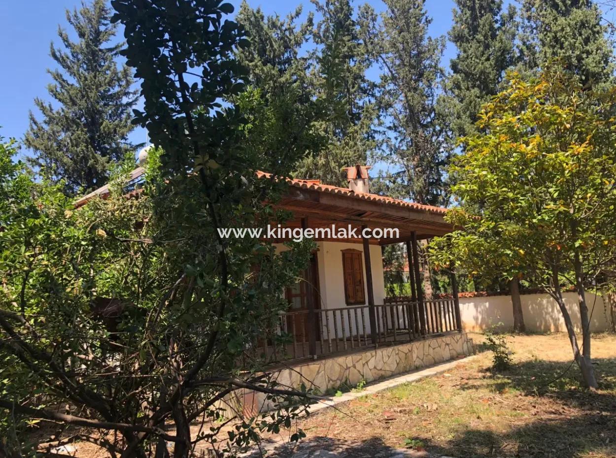 Traditional Cottage Project In Dalyan