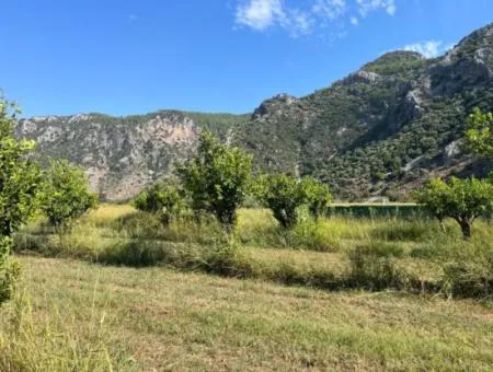 Field For Sale In Dalyan