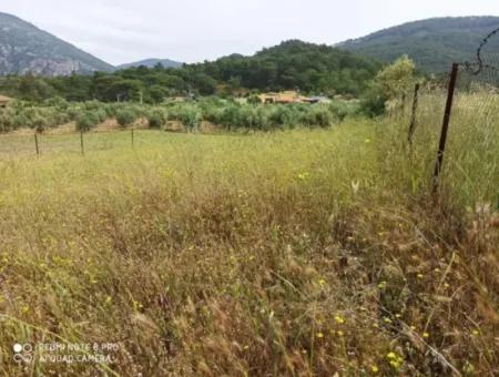 Land For Sale In Dalyan Gökbel