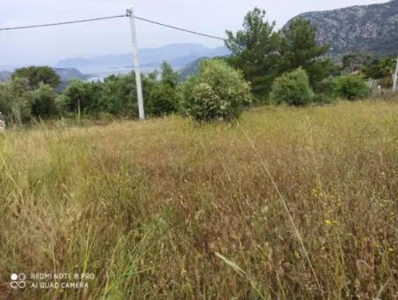 Land For Sale In Dalyan Gökbel