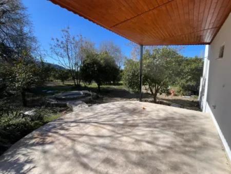 Ground Floor Apartment To Rent