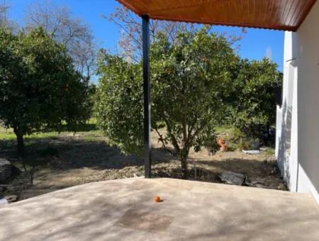 Ground Floor Apartment To Rent