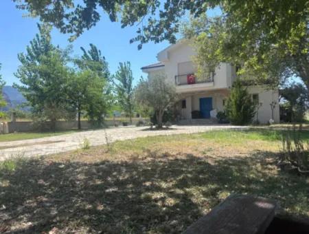 Unique Villa On Large Land