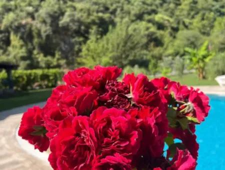 Villa For Sale İn Dalyan Okçular