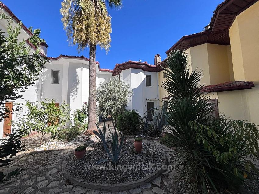 Традиционный Характер С Современными Штрихами В Самом Сердце Дальяна