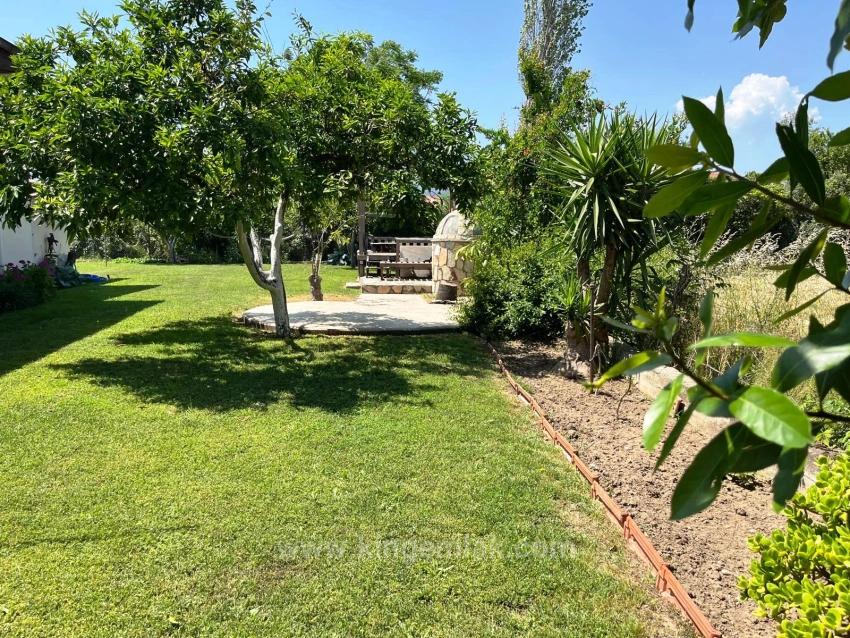 Спокойная Жизнь Среди Шепота Гор