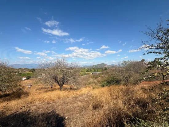 В Karadağ Одна Возможность, Добавляющая Ценность Земле