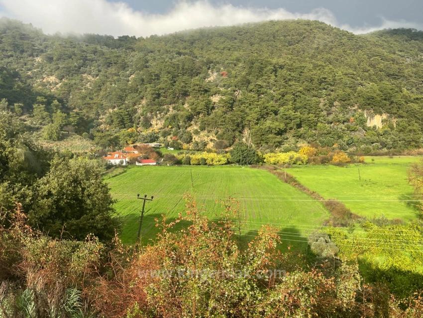 Dalyan In Karşısında Çandır Köyünde Satılık Çiftlik Arazisi