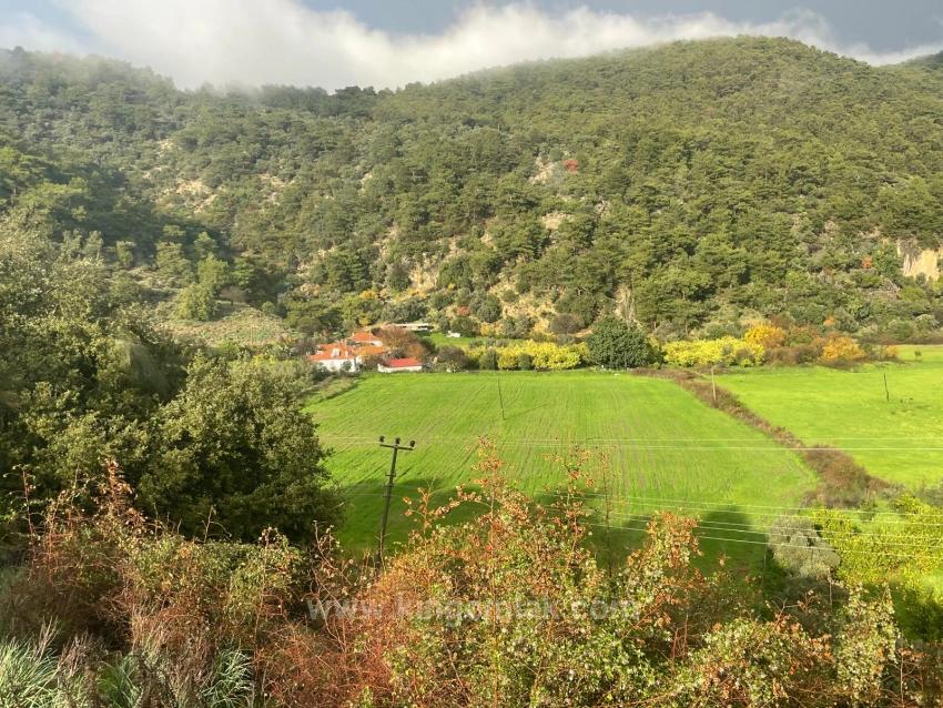 Dalyan In Karşısında Çandır Köyünde Satılık Çiftlik Arazisi