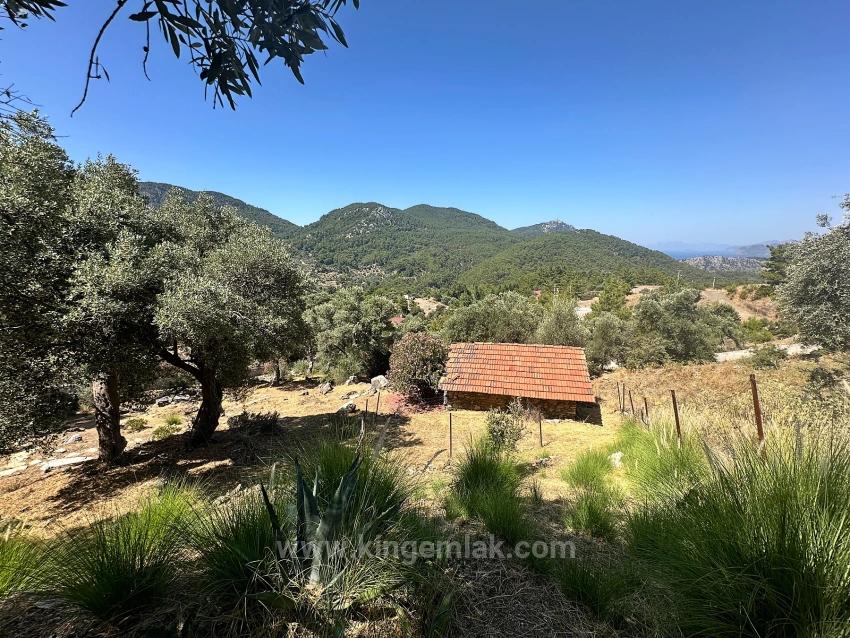 Gökbel’de Eşsiz Deniz Manzaralı 7 Odalı Lüks Malikâne – 5.000 M² Arsada Prestijli Bir Ya