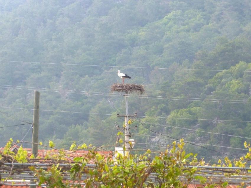 Dalyan Maraş'ta Müstakil Villa