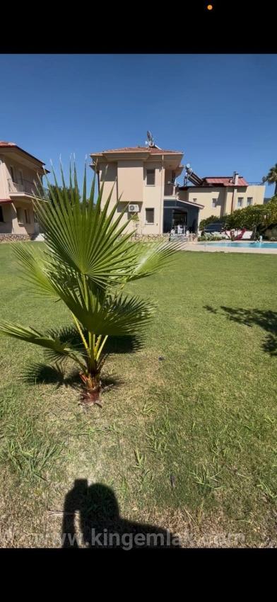 Dalyan Okçular Da Satılık Dubleks Villa