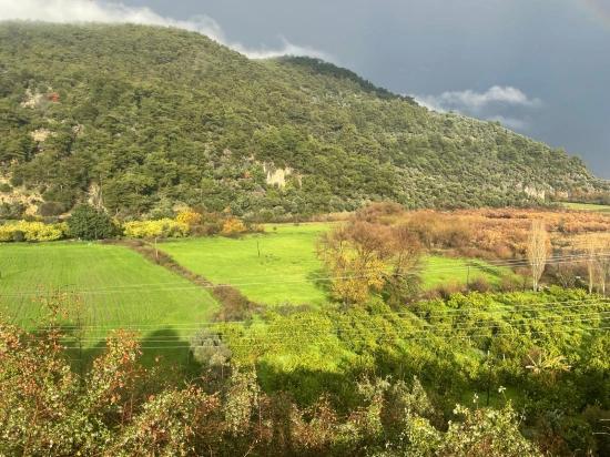 Dalyan In Karşısında Çandır Köyünde Satılık Çiftlik Arazisi