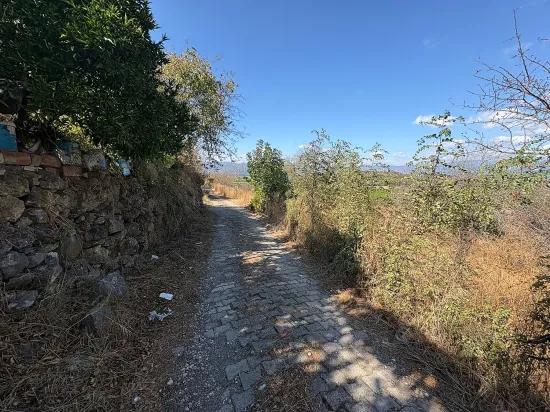 Karadağ’da Toprağa Değer Katan Bir Fırsat