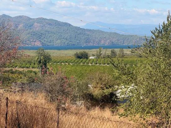 Karadağ’da Toprağa Değer Katan Bir Fırsat