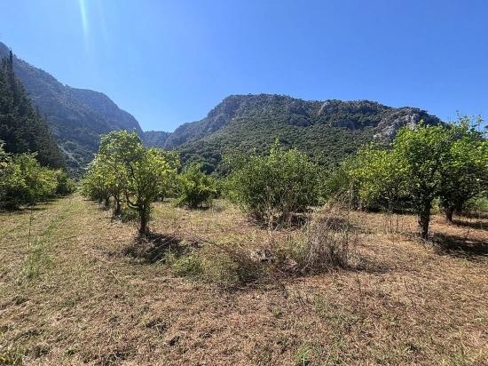 Dalyan Marmarlı Da Doğayla İç İçe Triplex Villa