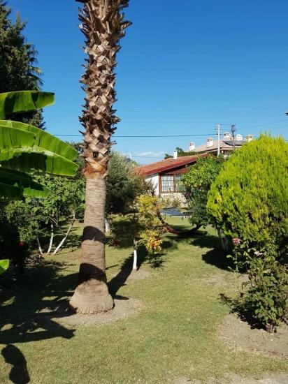 Dalyan Arıkbaşı Bölgesinde 1357 M2 Arsa İçersinde Satılık Müstakil Bungalow