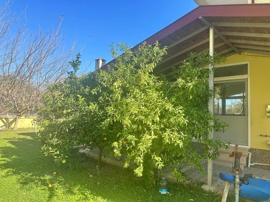 Dalyan Gülpınar 'da 1000 M2 Arsa İçerisinde Satılık Ev