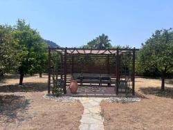 Dalyan Okçular Da Geniş Arsa 'Ya Sahip Geleneksel Türk Evi