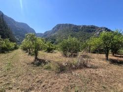 Ortaca Okçular Mah. Satılık 5+3 Müstakil Ev - 4.011 m²