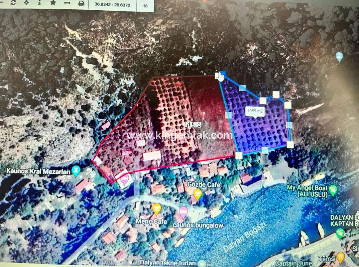 Dalyan Çandır Satılık Hisseli Tarla