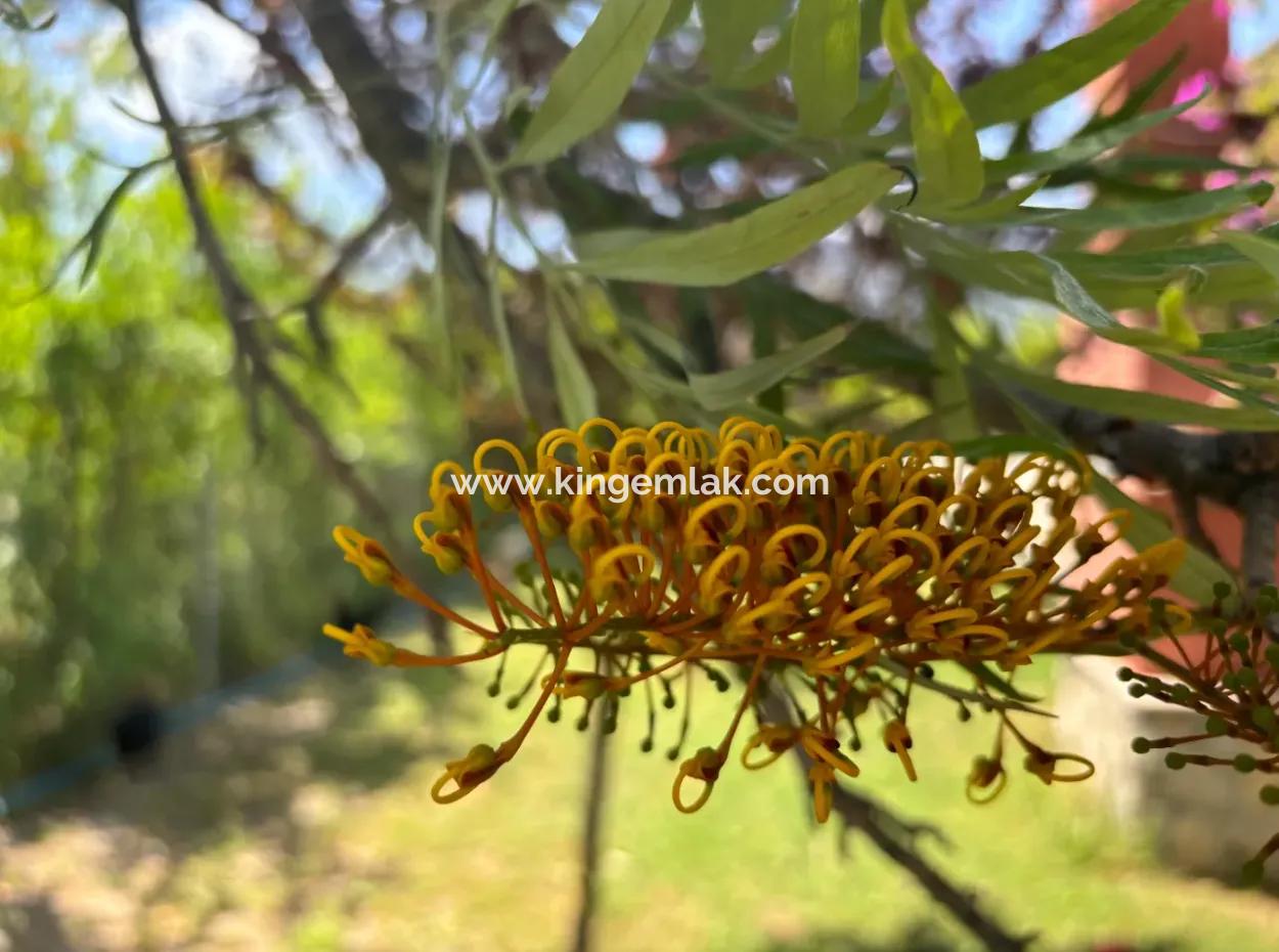 Dalyan Gülpınarda Göl Ve Dağ Manzaralı Satılık Çiftlik Evi