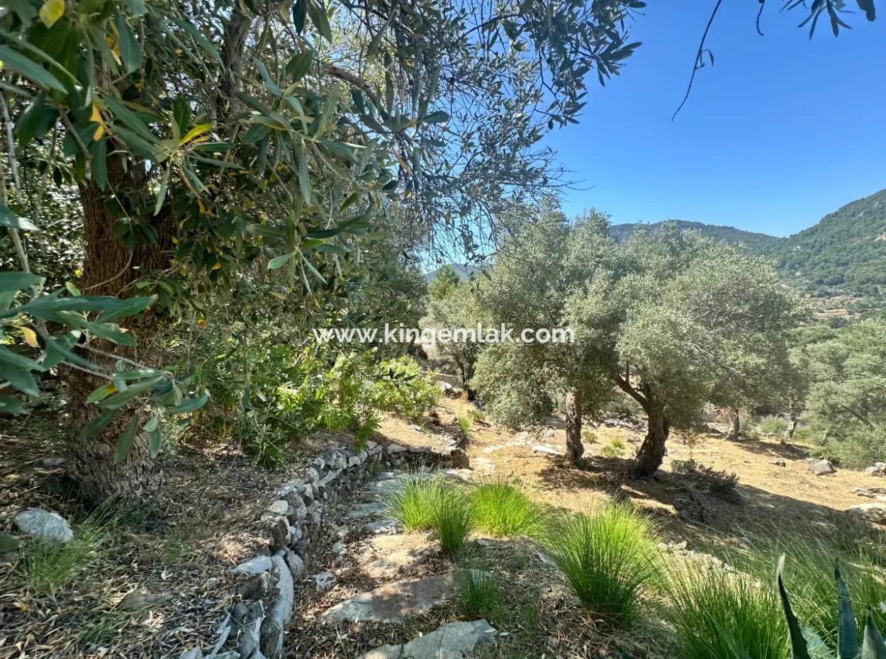 Dalyan Gökbel De Full İztuzu Plajı Ve Deniz Manzaralı Satılık Villa