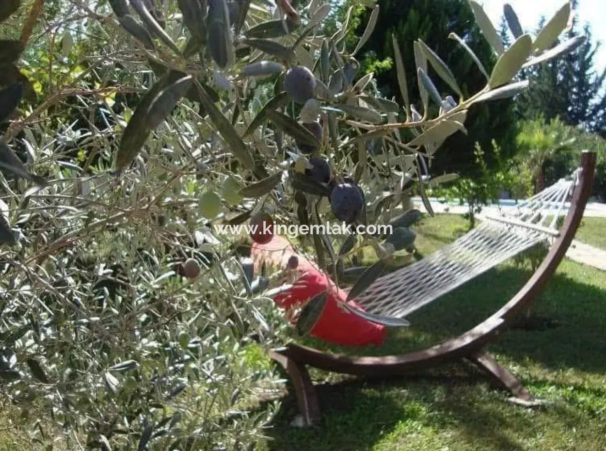 Dalyan Arıkbaşı Nda Satılık 1357 M2 Arsa İçersinde Bungalow