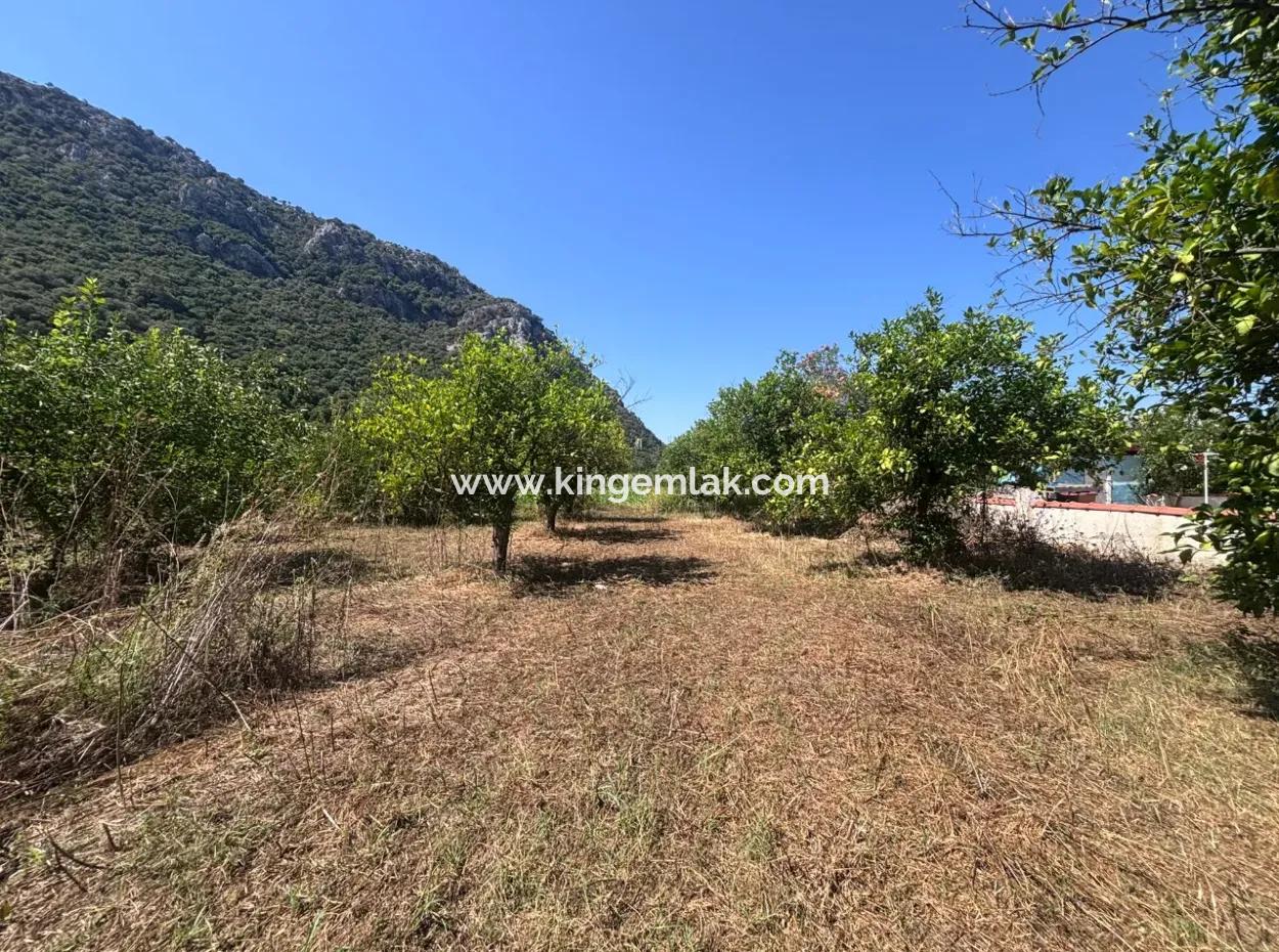 Dalyan Marmarlı Da 4011 M2 Arsa İçerisinde Satılık Villa