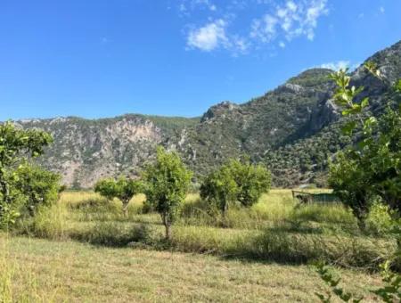 Dalyan Satılık Tarla