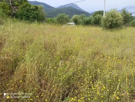 Dalyan Gökbelde Satılık Arsa