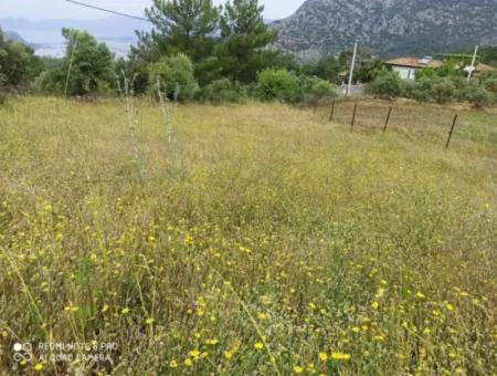 Dalyan Gökbelde Satılık Arsa