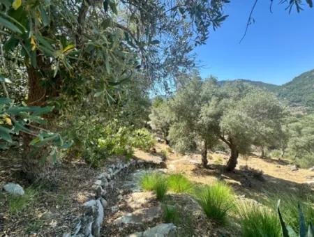 Dalyan Gökbel De Full İztuzu Plajı Ve Deniz Manzaralı Satılık Villa
