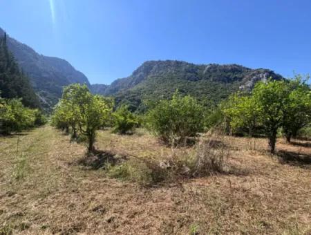Dalyan Marmarlı Da 4011 M2 Arsa İçerisinde Satılık Villa