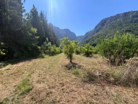 Dalyan Marmarlı Da 4011 M2 Arsa İçerisinde Satılık Villa