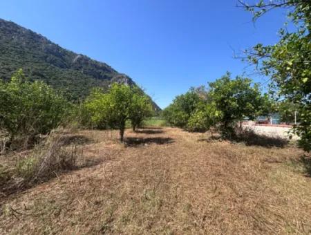 Dalyan Marmarlı Da 4011 M2 Arsa İçerisinde Satılık Villa