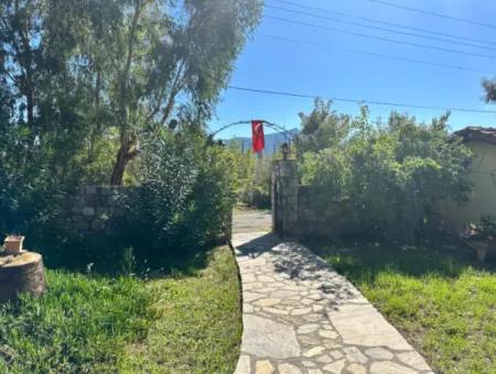 Dalyan Merkeze Yakın Kiralık Tek Katlı Havuzlu Ev