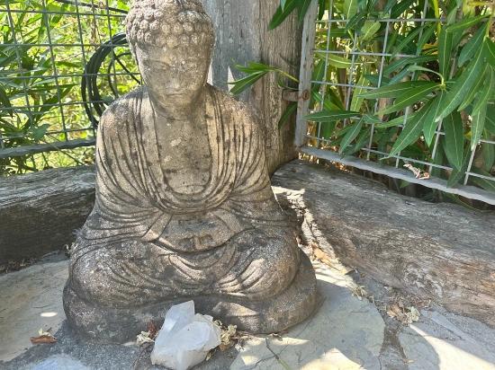 Marmarlı’da Zen Sığınağı – Dalyan’a Yakın Huzurlu İki Yatak Odalı Villa