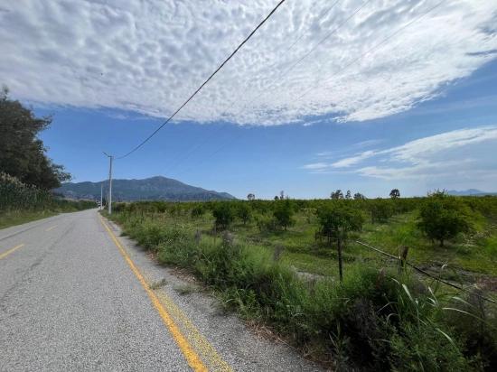 Dalyan – İztuzu Yolu Üzerinde Satılık Nar Bahçesi